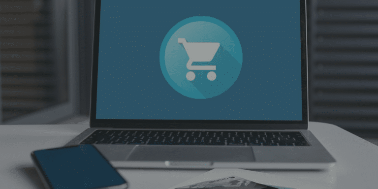 Ecommerce Website Cost