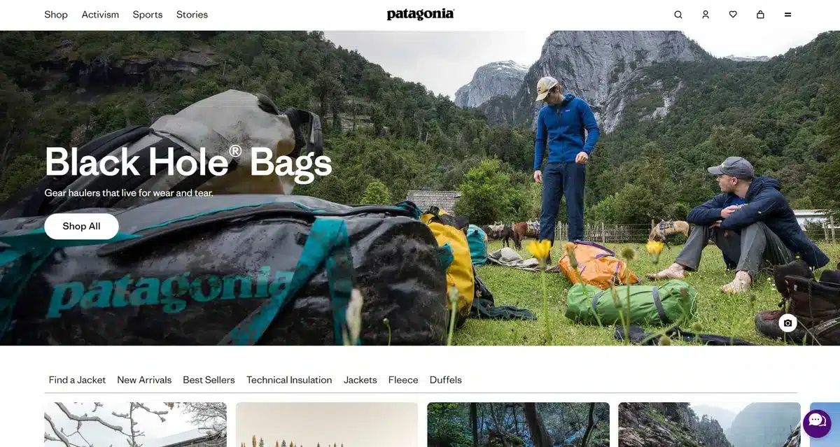 Patagonia's business website showing their products being used while camping