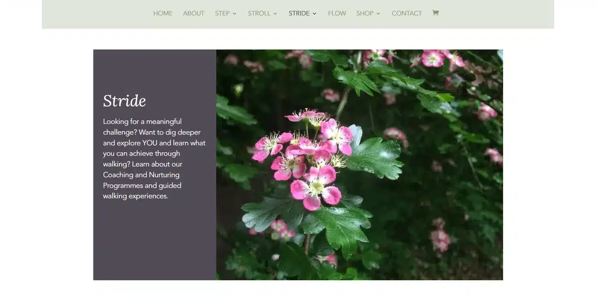 Heather Waring service page web design