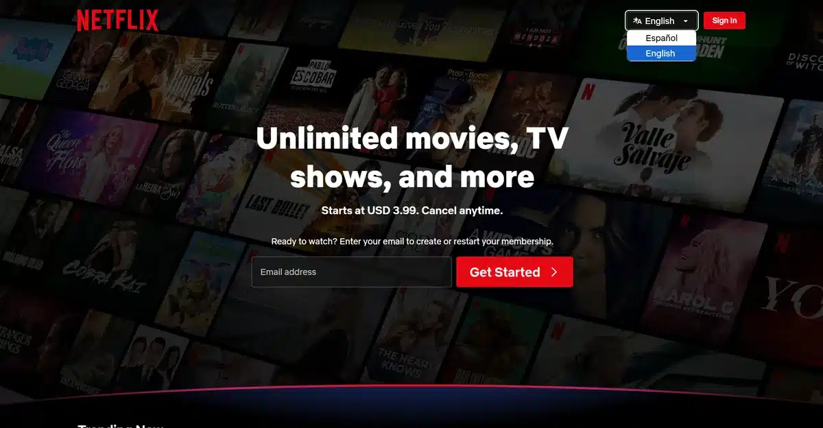 Netflix business website showing the multilingual toggle button on the top right side of the page